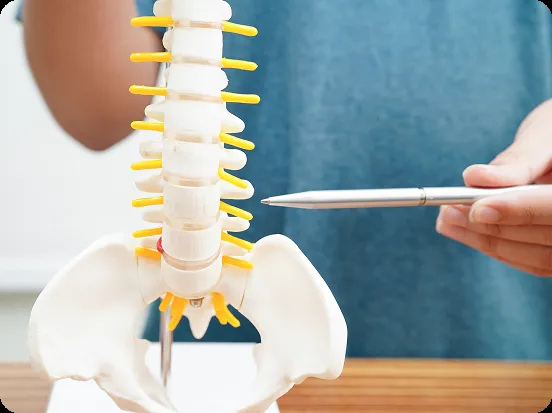 pointing-at-spine-model pointing-at-spine-model