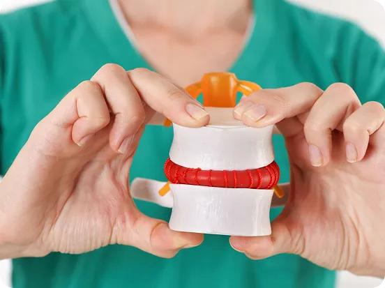 spinal-disc-model-hands spinal-disc-model-hands