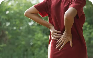 spine-consultation-model-closeup