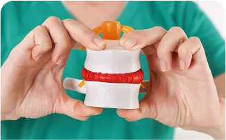 spine-disc-model-held