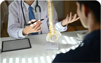 spine-model-doctor-consultation