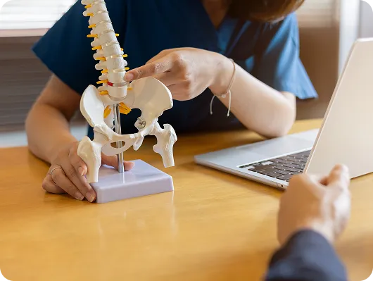 spine_model_consultation spine_model_consultation