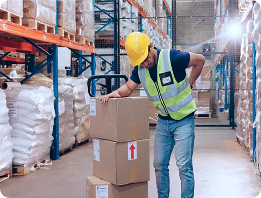 warehouse_back_pain warehouse_back_pain